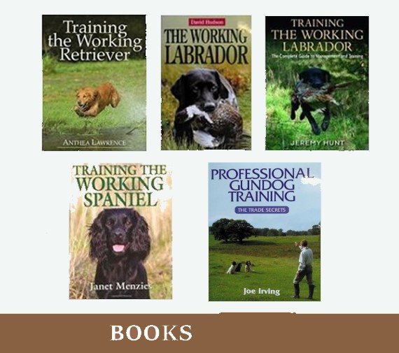 Gundog Solutions