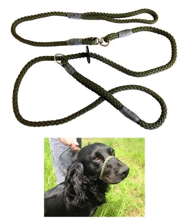 slip leash for dogs