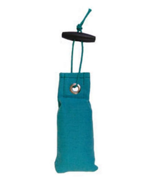 Mystique gundog best sale