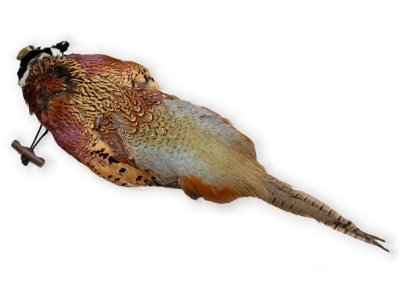 Pheasant Dummy with throwing toggle. from Gundog Solutions