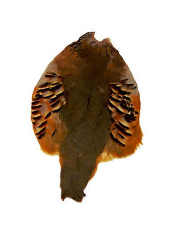 Partridge Pelt from Gundog Solutions