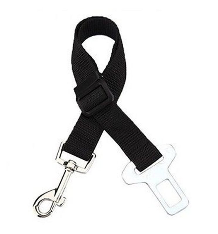 Travel Seatbelt Clip