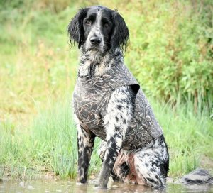 Neoprene Dog Vest from Gundog Solutions