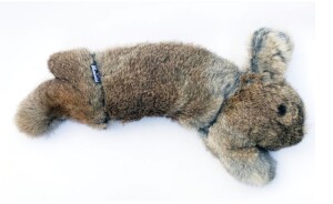BG Rabbit