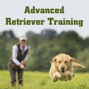 Advanced Retriever Training by Laura Hill
