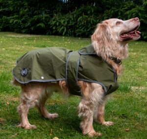 Stormguard Soft Shell Khaki from Gundog Solutions